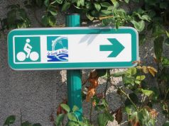 Les activités sportives