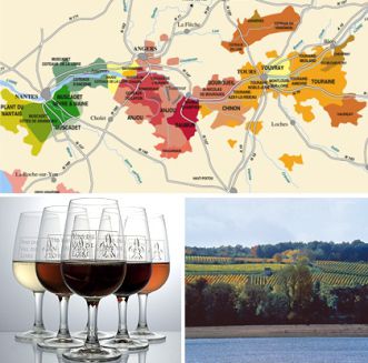 Les vignobles et la gastronomie